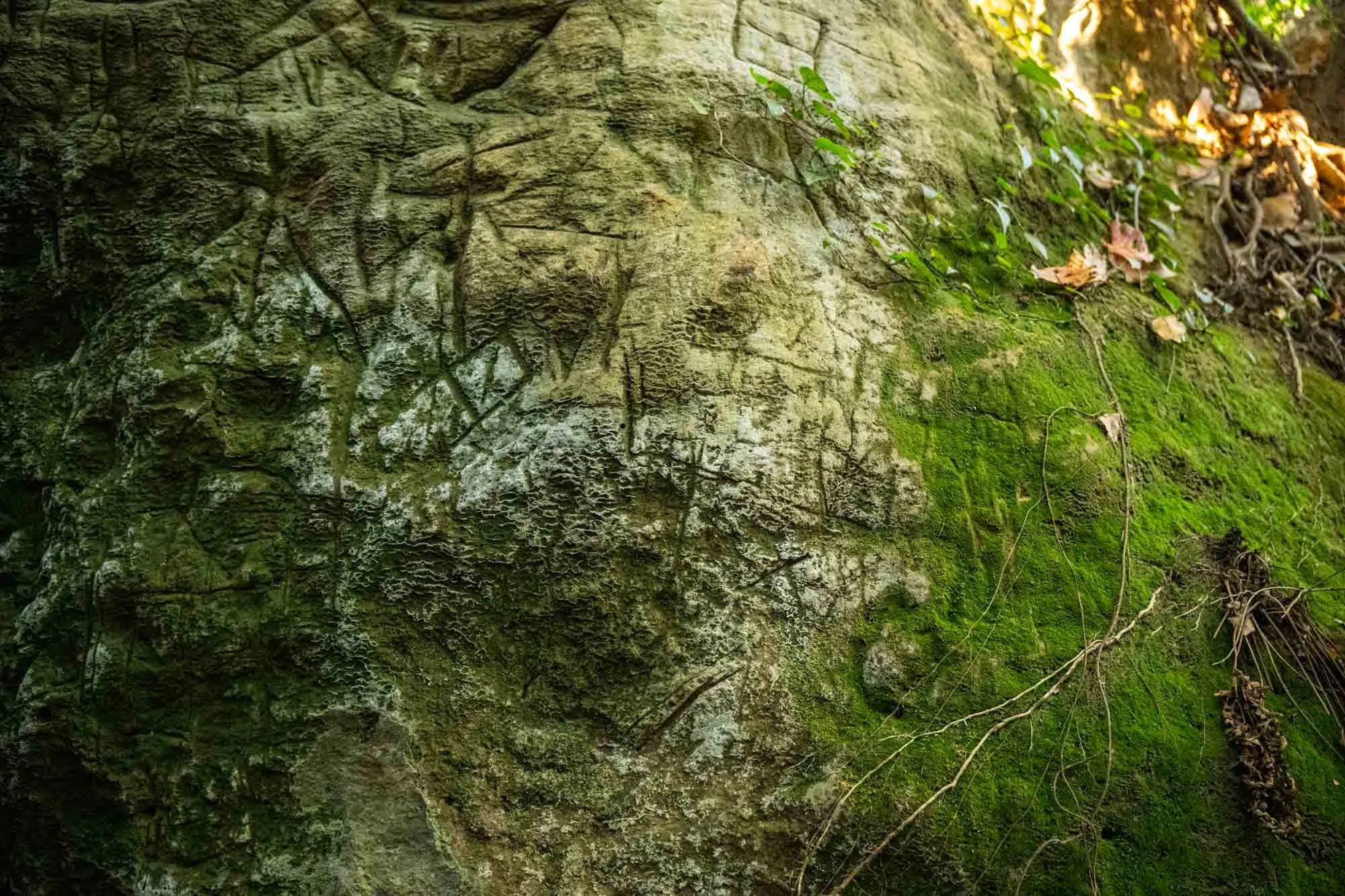 kamakura trail marks on boulder with moss