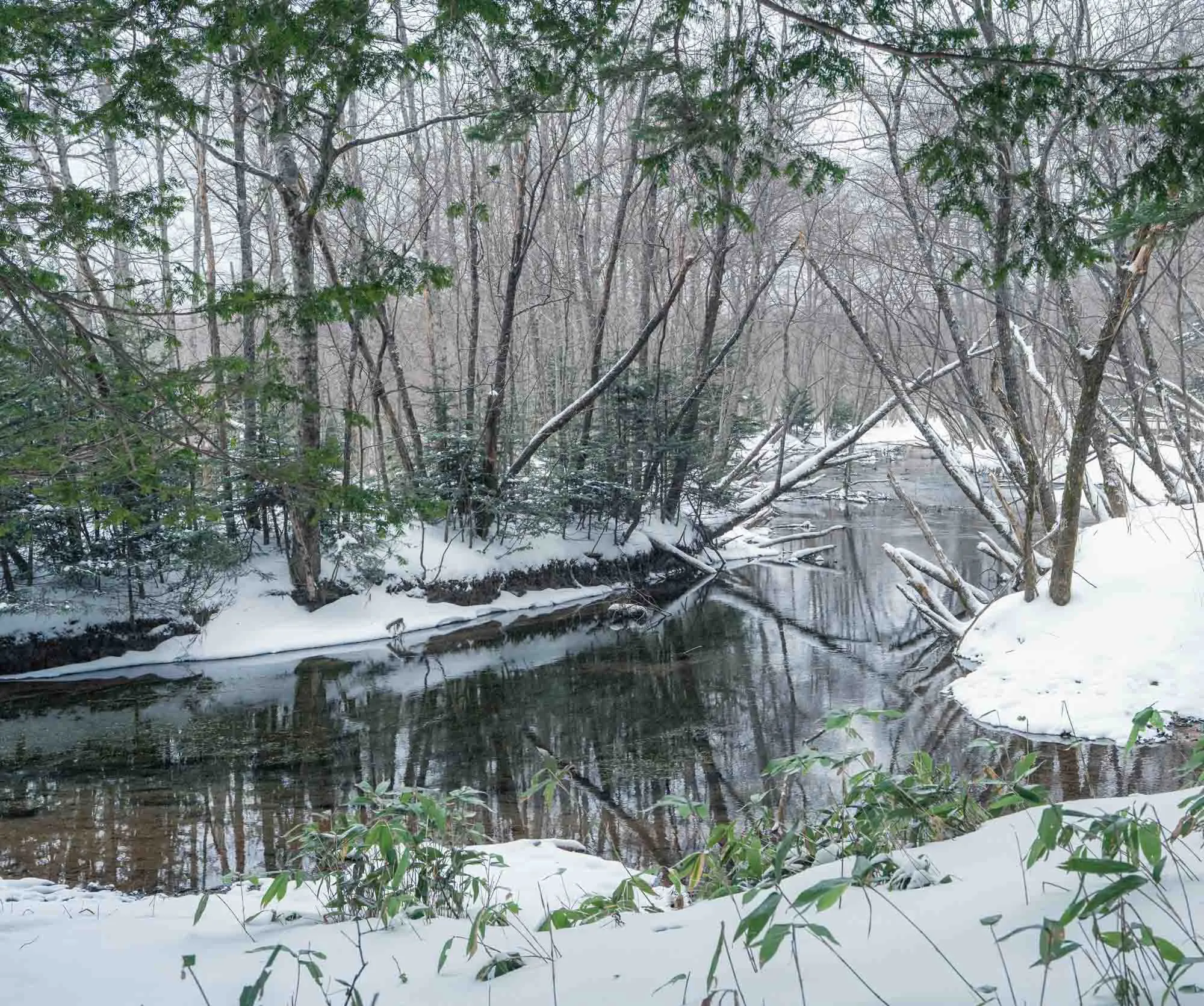 kamikochi winter tashiro marsh reflections