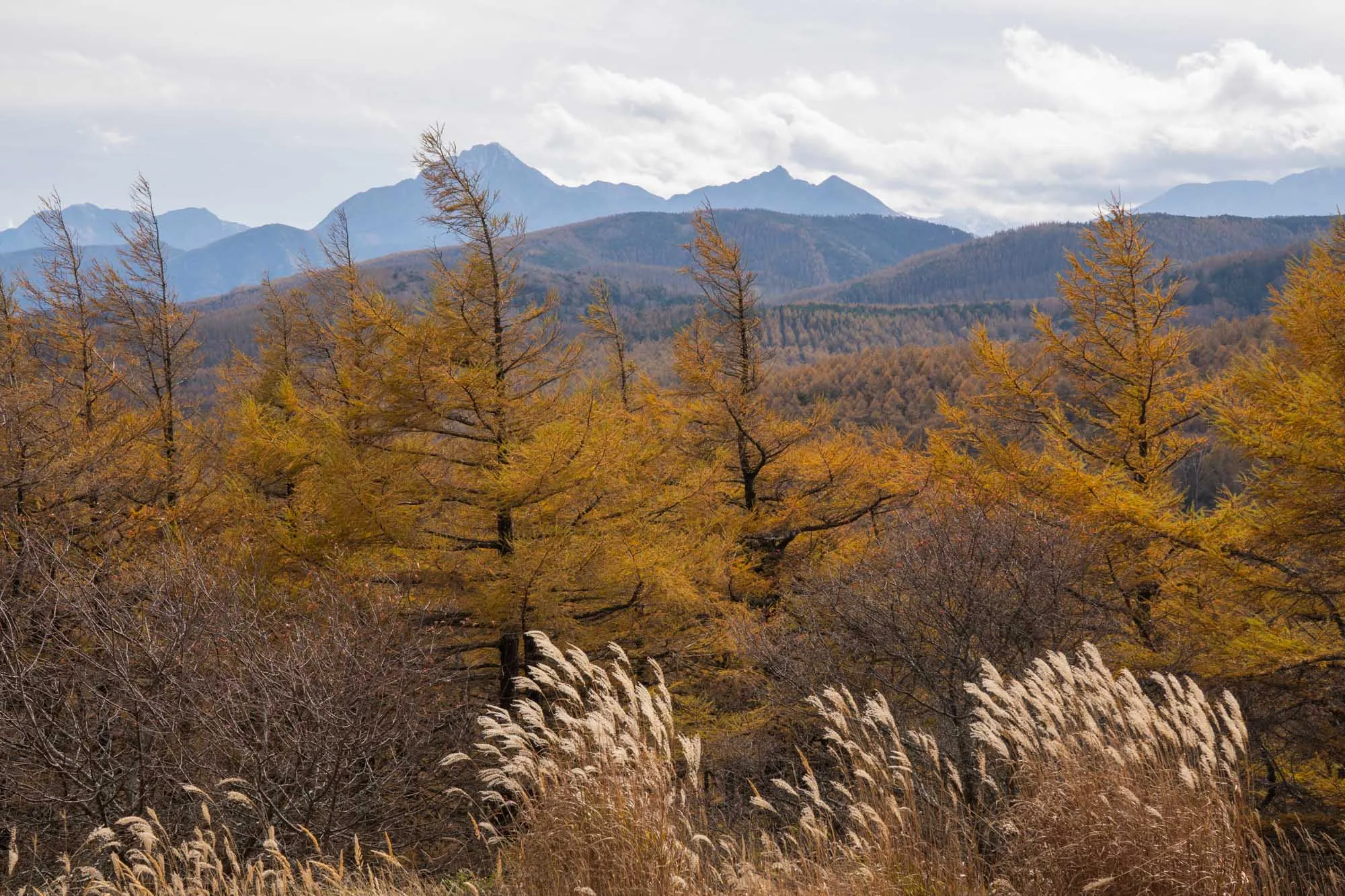 nyukasa view from peak in autumn