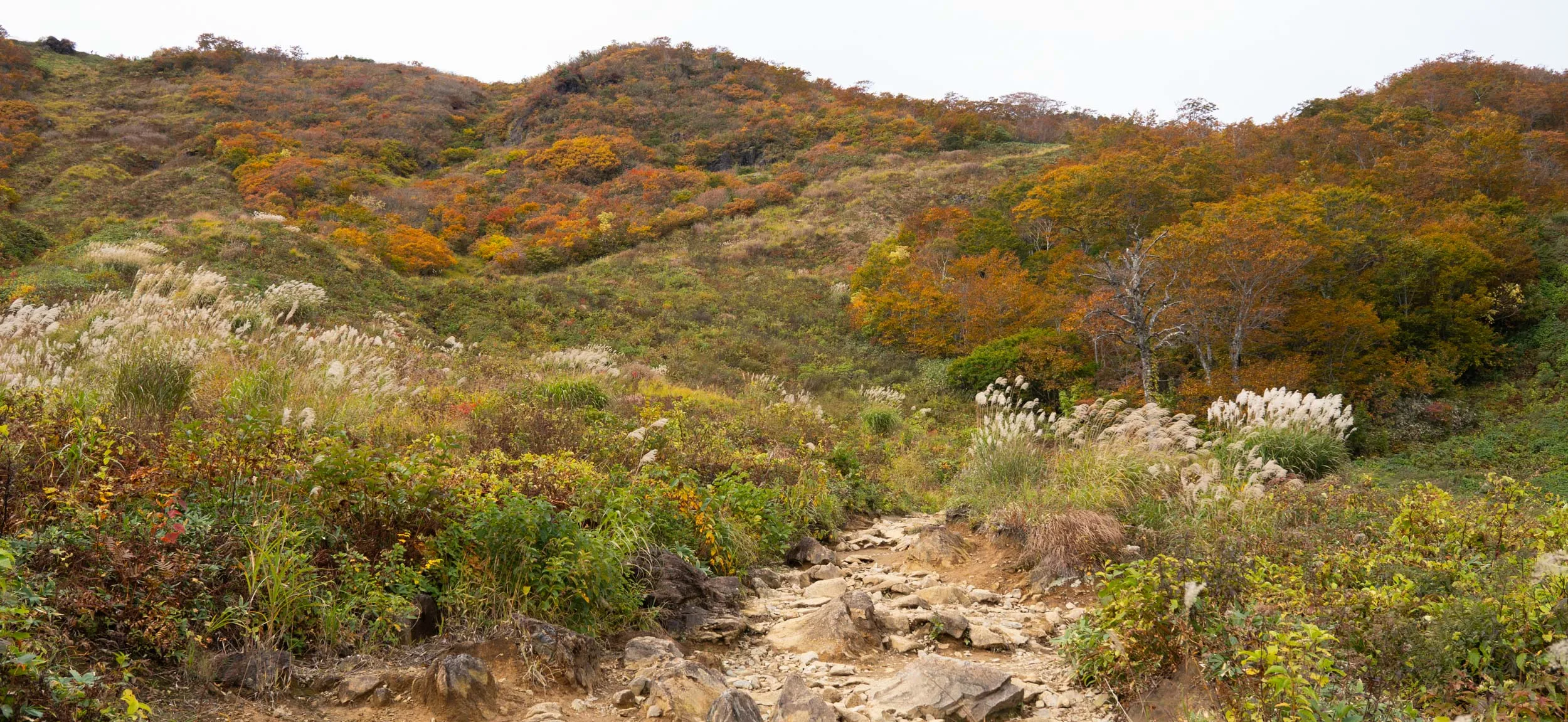 tanigawa autumn trail start