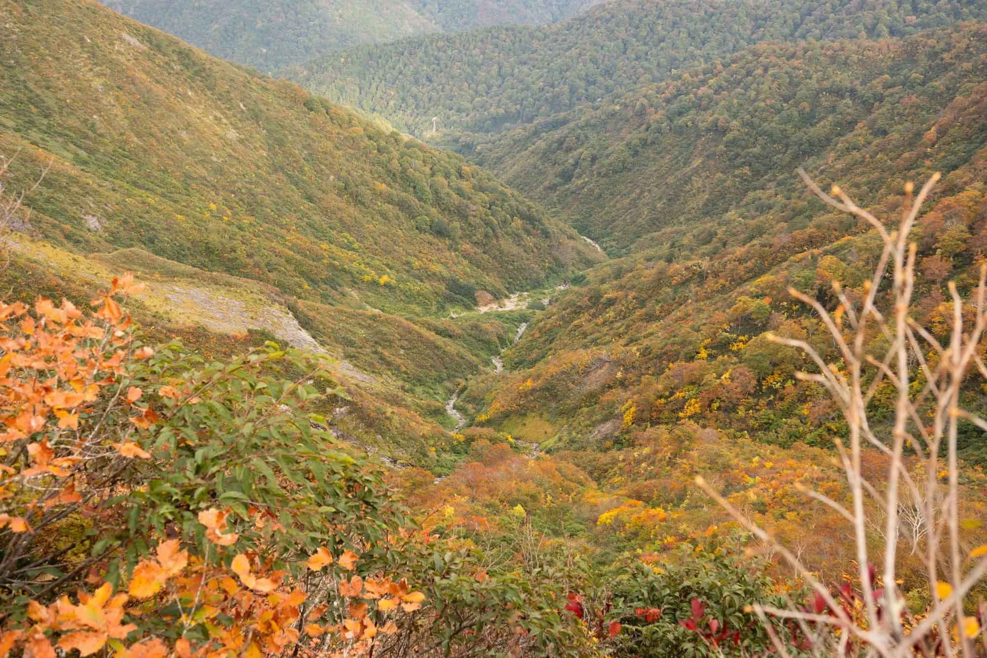 tanigawa autumn valley