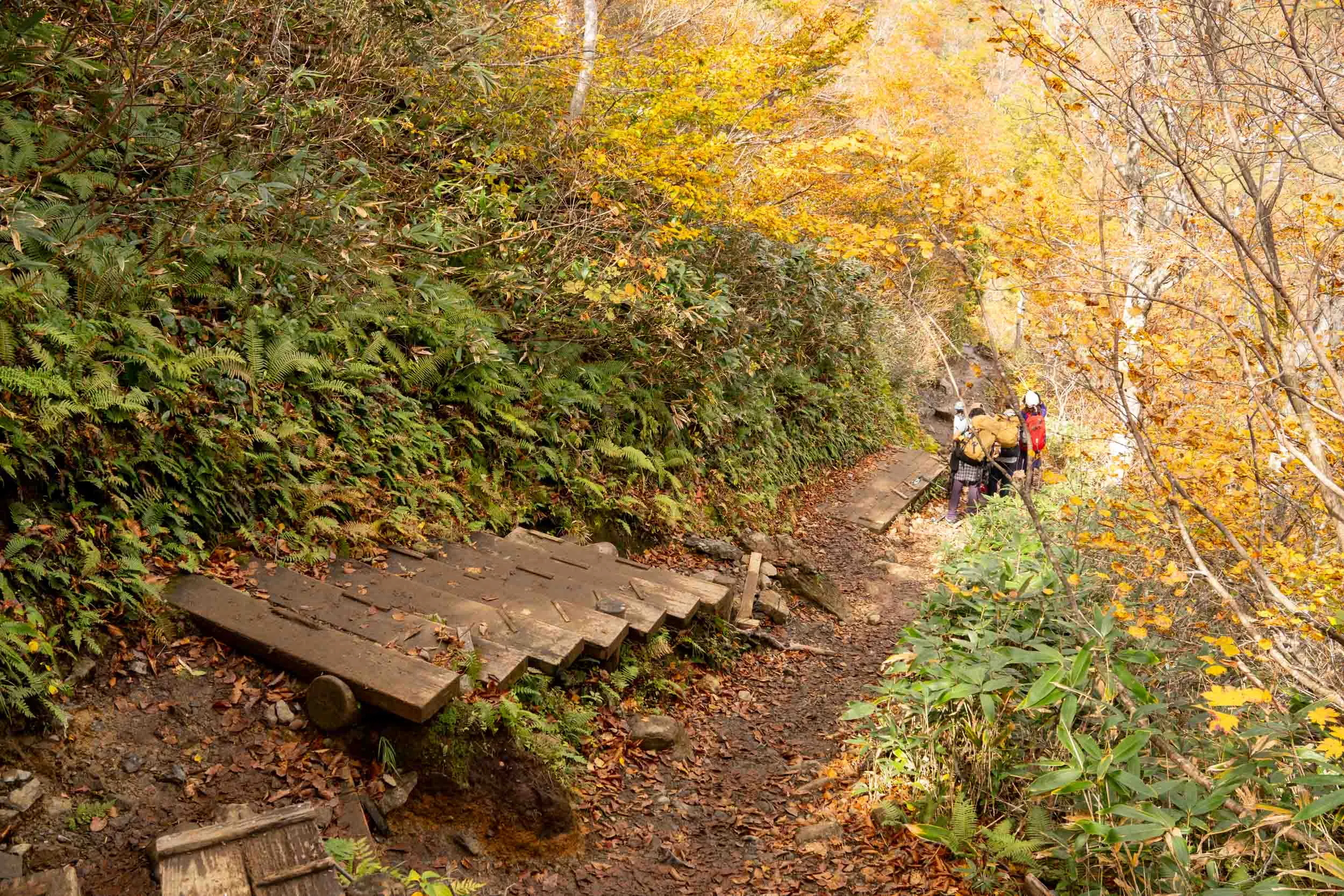 tanigawa trail golden wooden stairs
